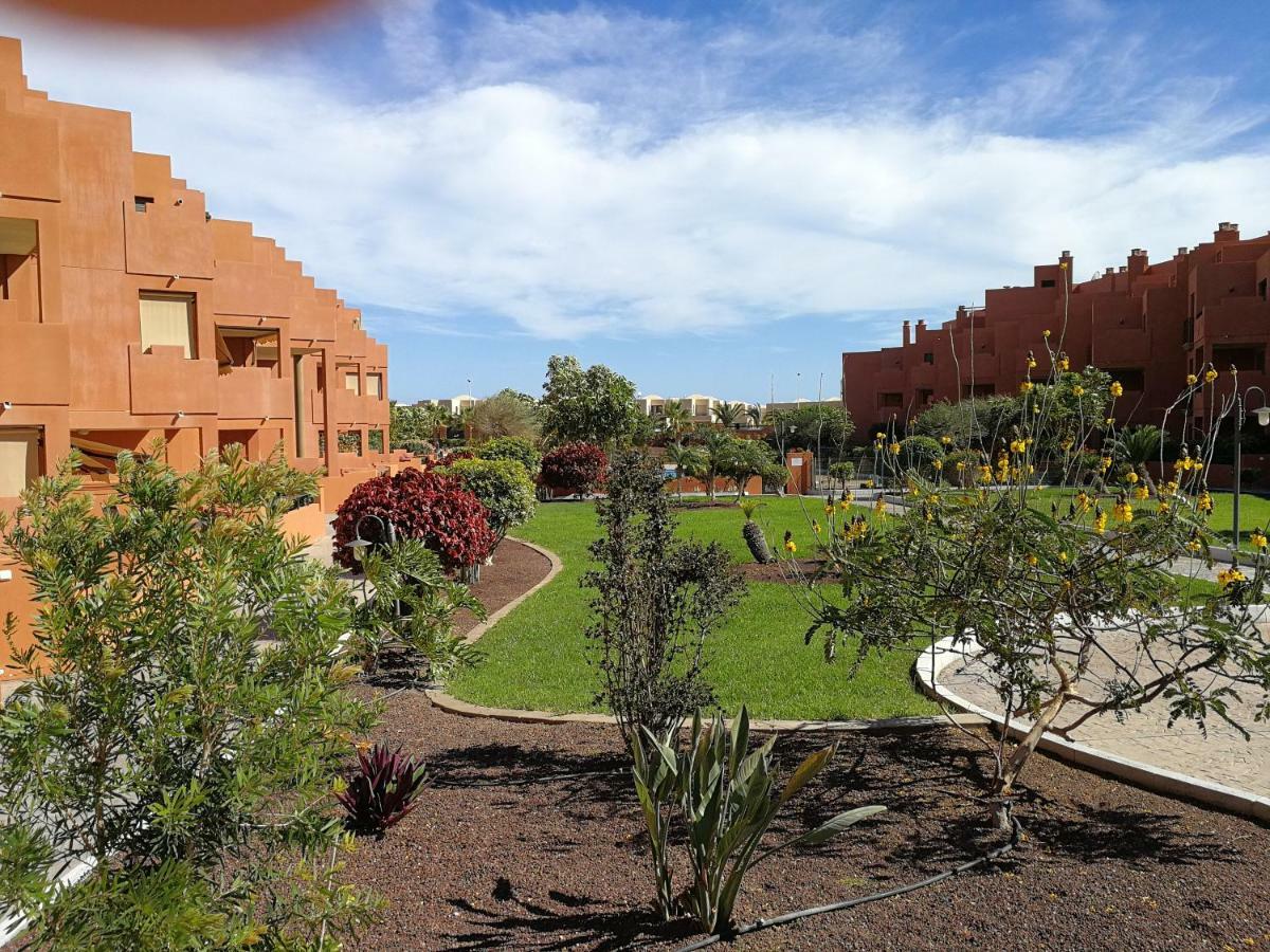 Alquilaencanarias El Medano Sotavento, Great Terrace And Beach Bagian luar foto